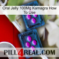 Oral Jelly 100Mg Kamagra How To Use 03